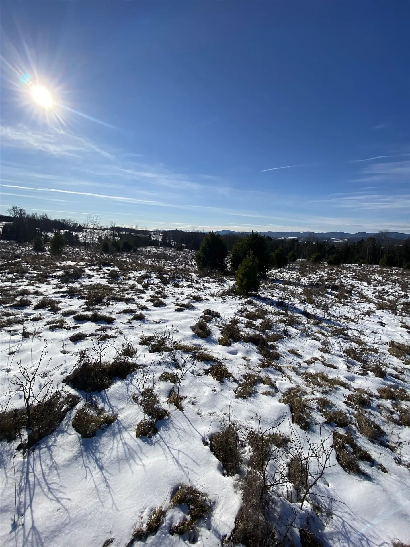 Ridge Road Brookfield VT 05036-0463