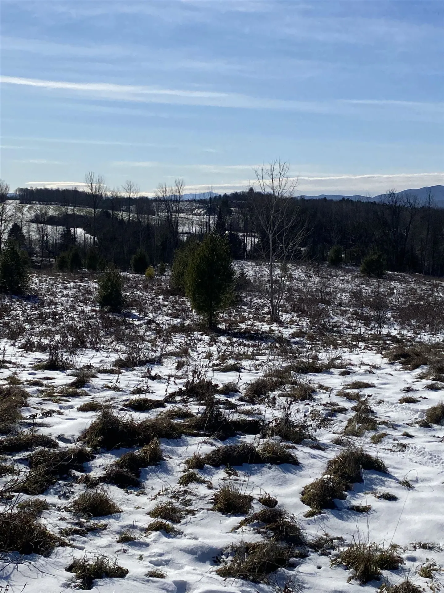 Ridge Road Brookfield VT 05036-0463