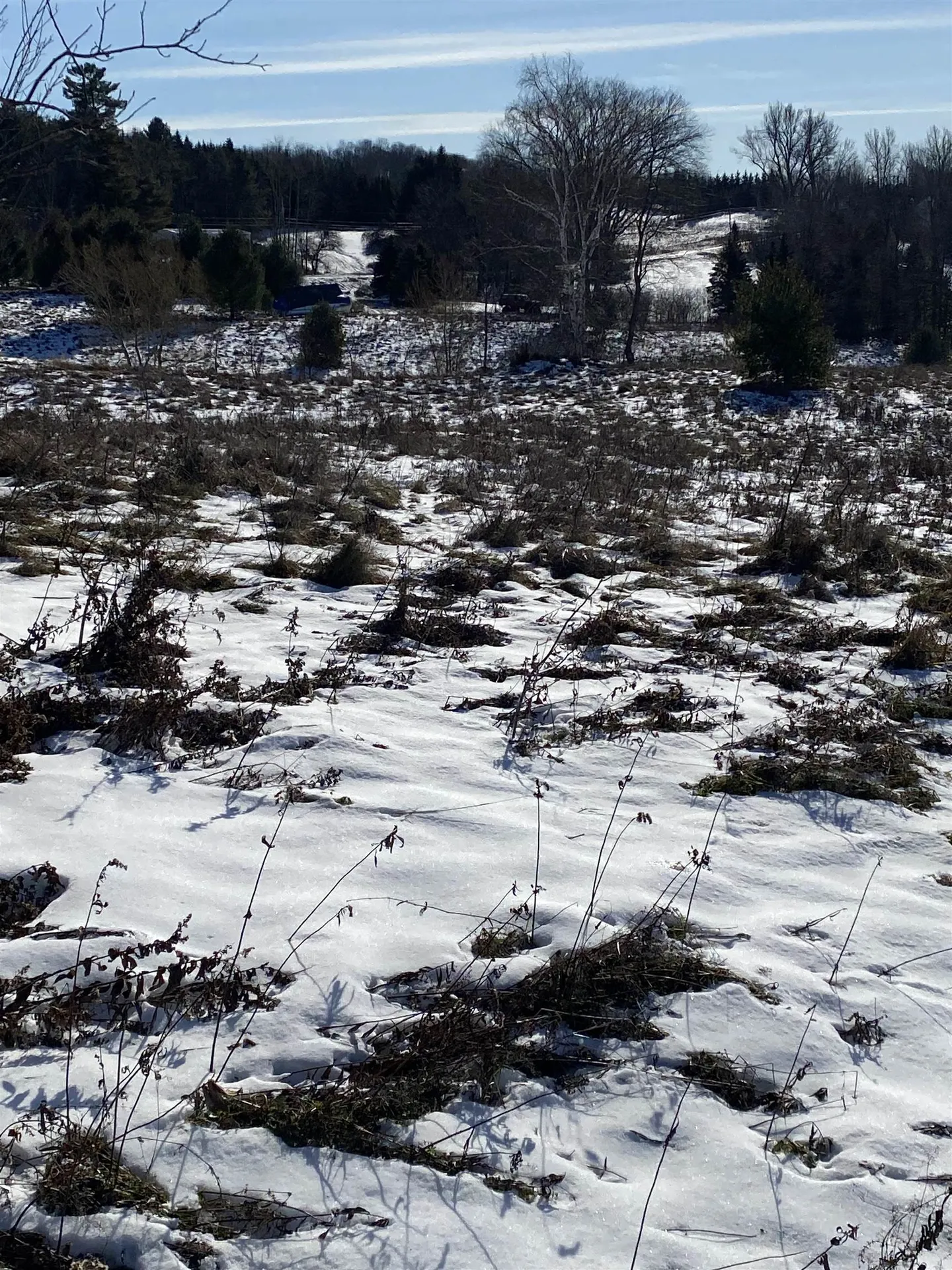 Ridge Road Brookfield VT 05036-0463