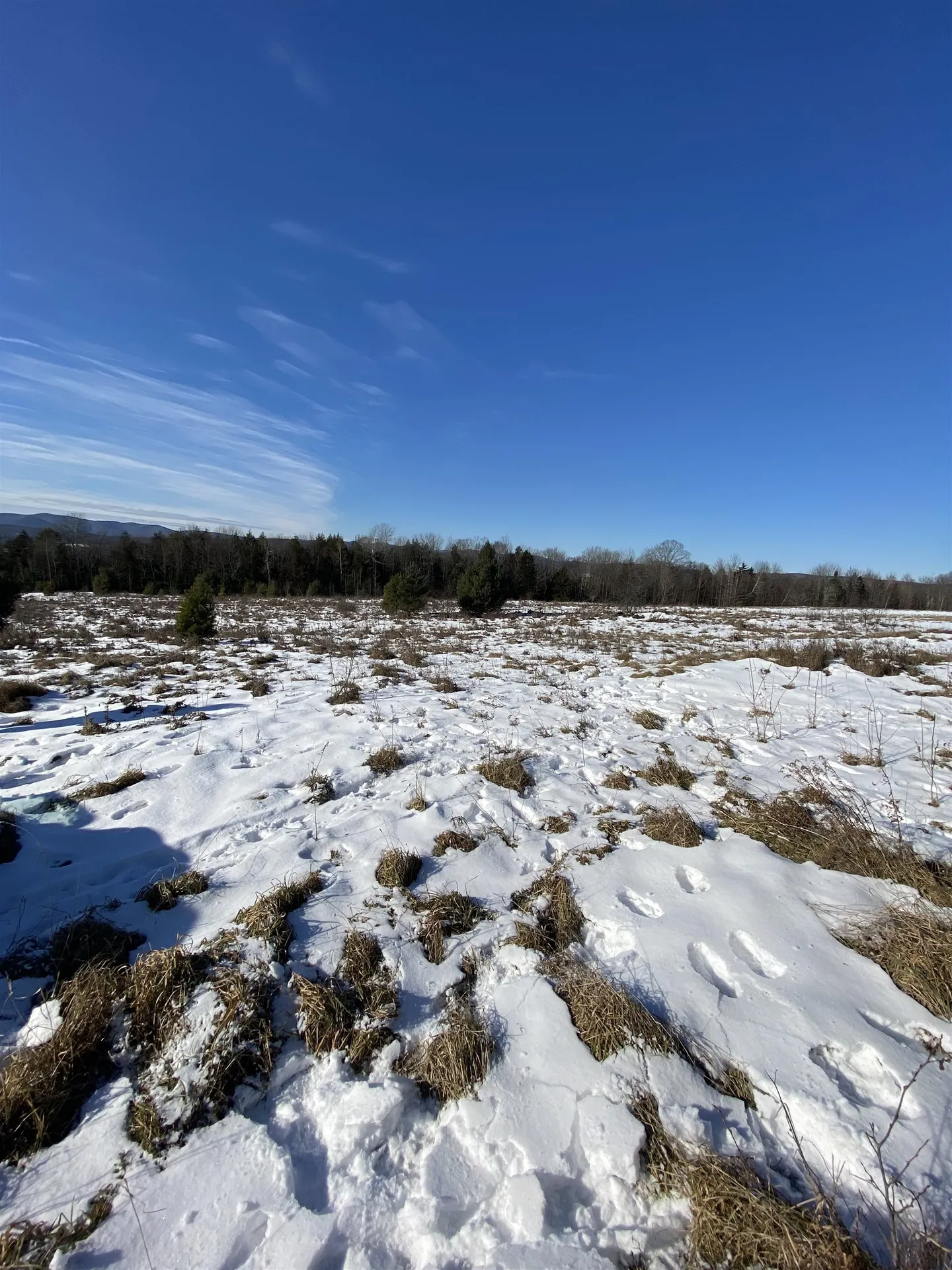 Ridge Road Brookfield VT 05036-0463