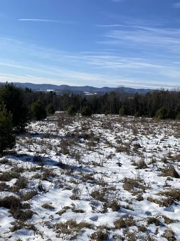 Ridge Road Brookfield VT 05036-0463