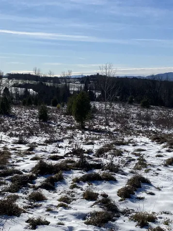 Ridge Road Brookfield VT 05036-0463