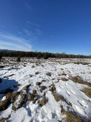 Ridge Road Brookfield VT 05036-0463