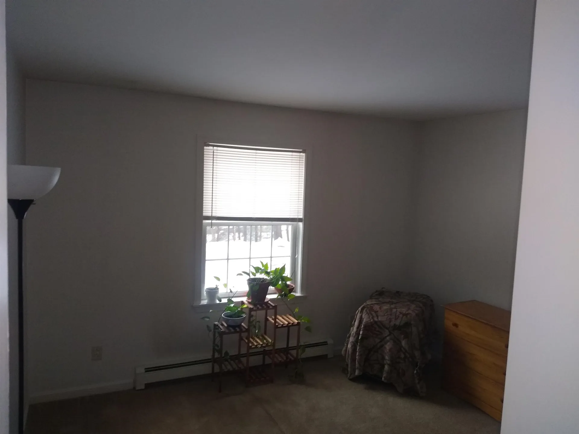 73 White Birch Lane Farmington NH 03835