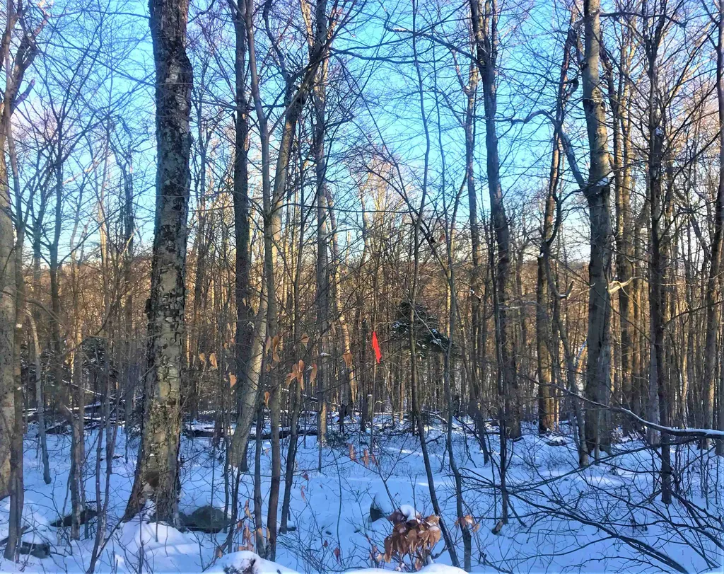 9 Woodchuck Lane Wilmington VT 05363