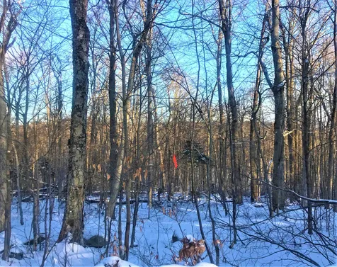 9 Woodchuck Lane Wilmington VT 05363