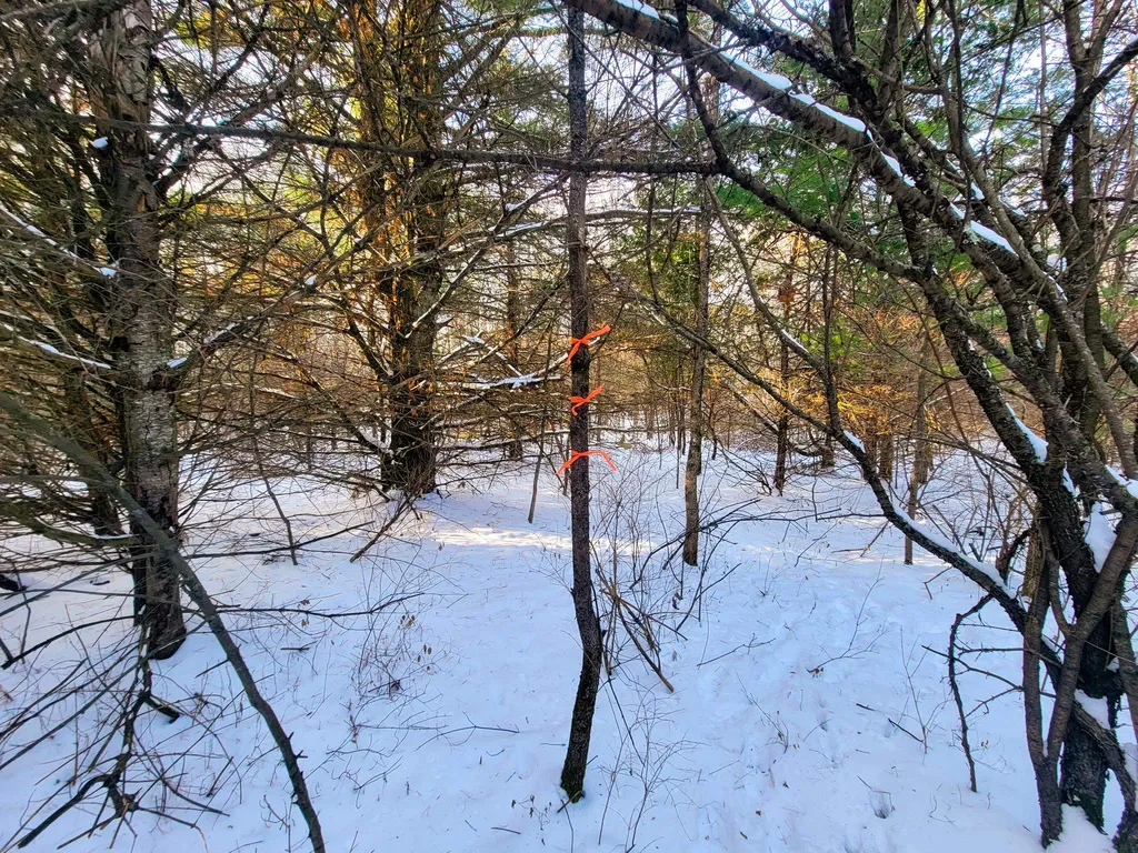 19 Star Road Grand Isle VT 05458