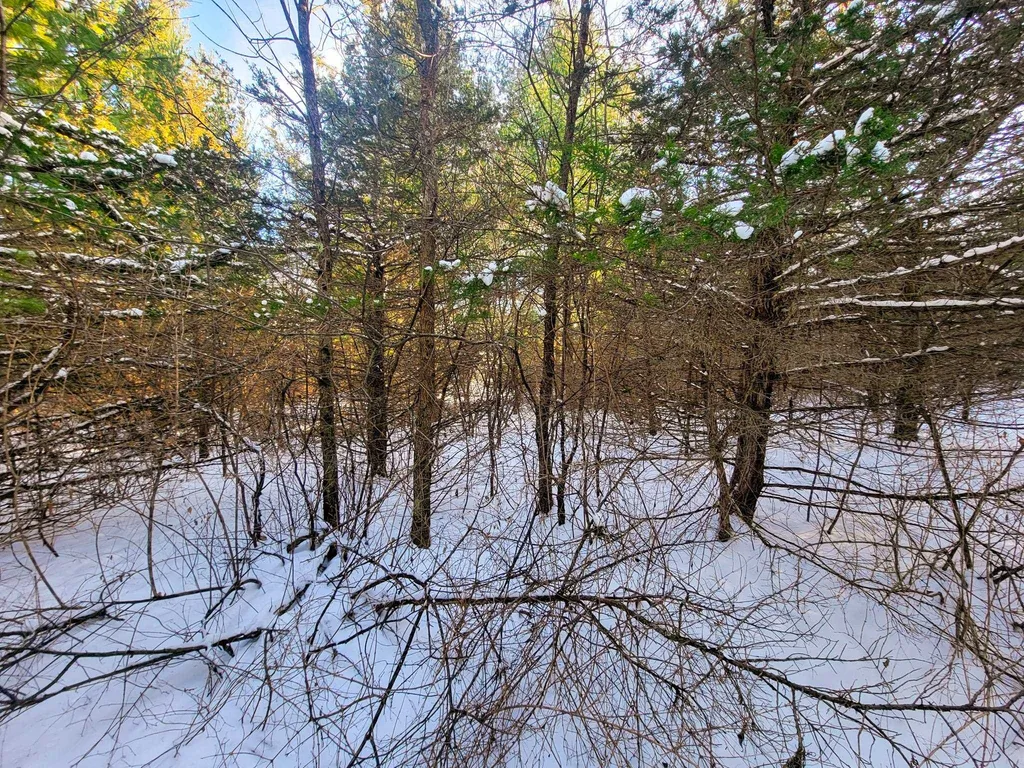 19 Star Road Grand Isle VT 05458