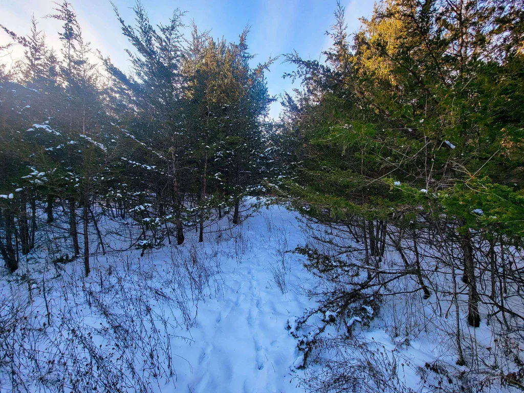 19 Star Road Grand Isle VT 05458