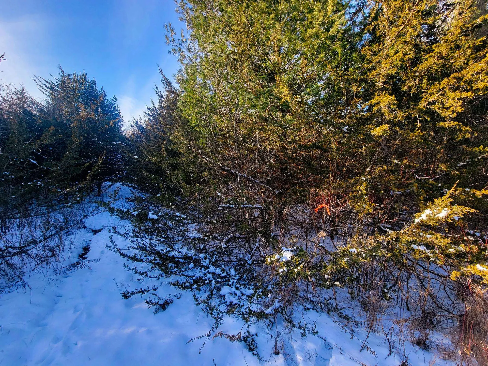 19 Star Road Grand Isle VT 05458