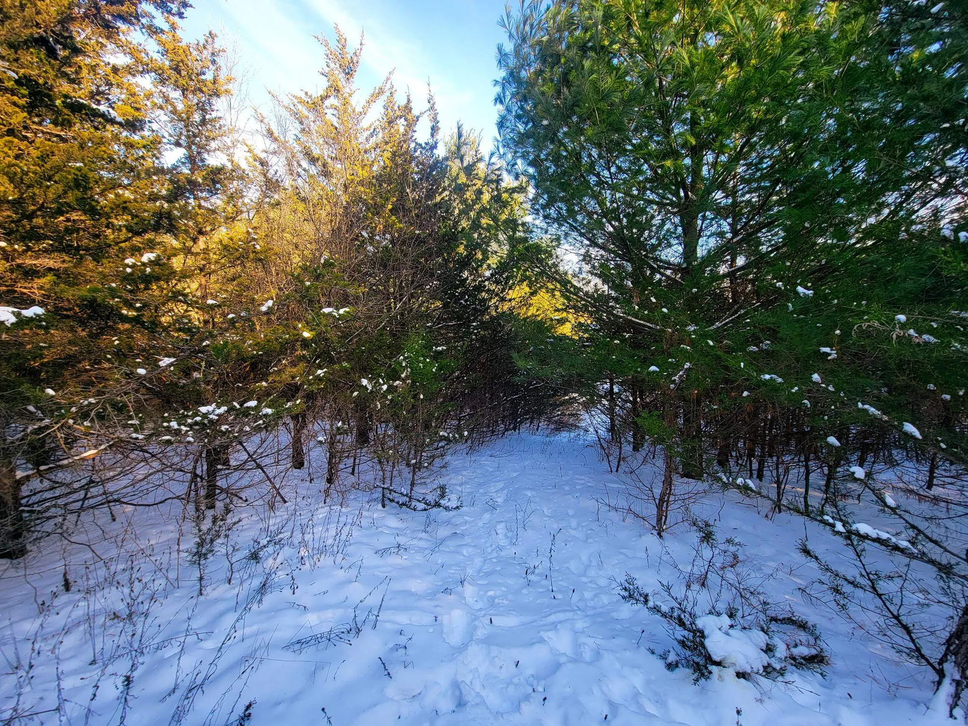 19 Star Road Grand Isle VT 05458