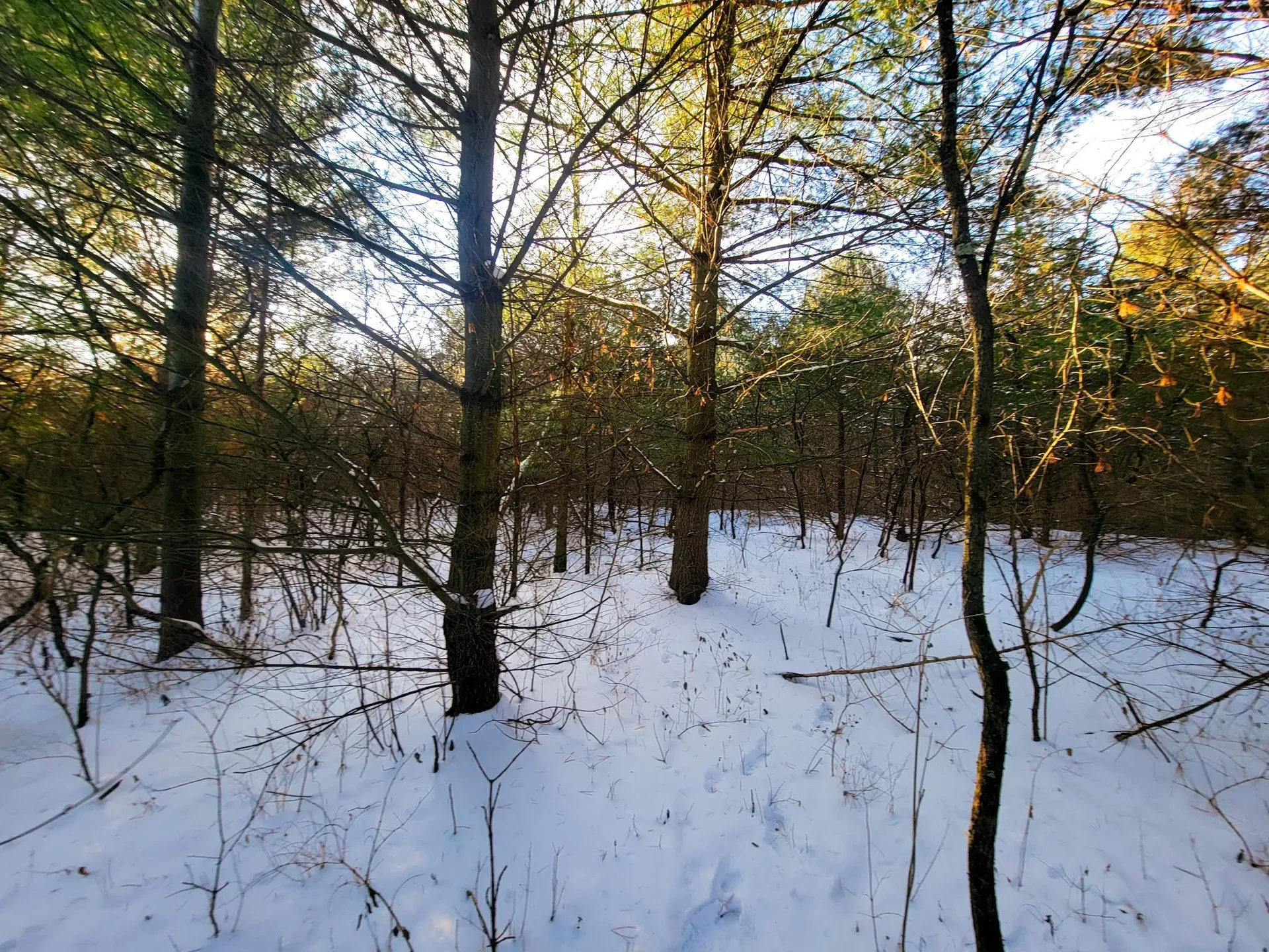 19 Star Road Grand Isle VT 05458