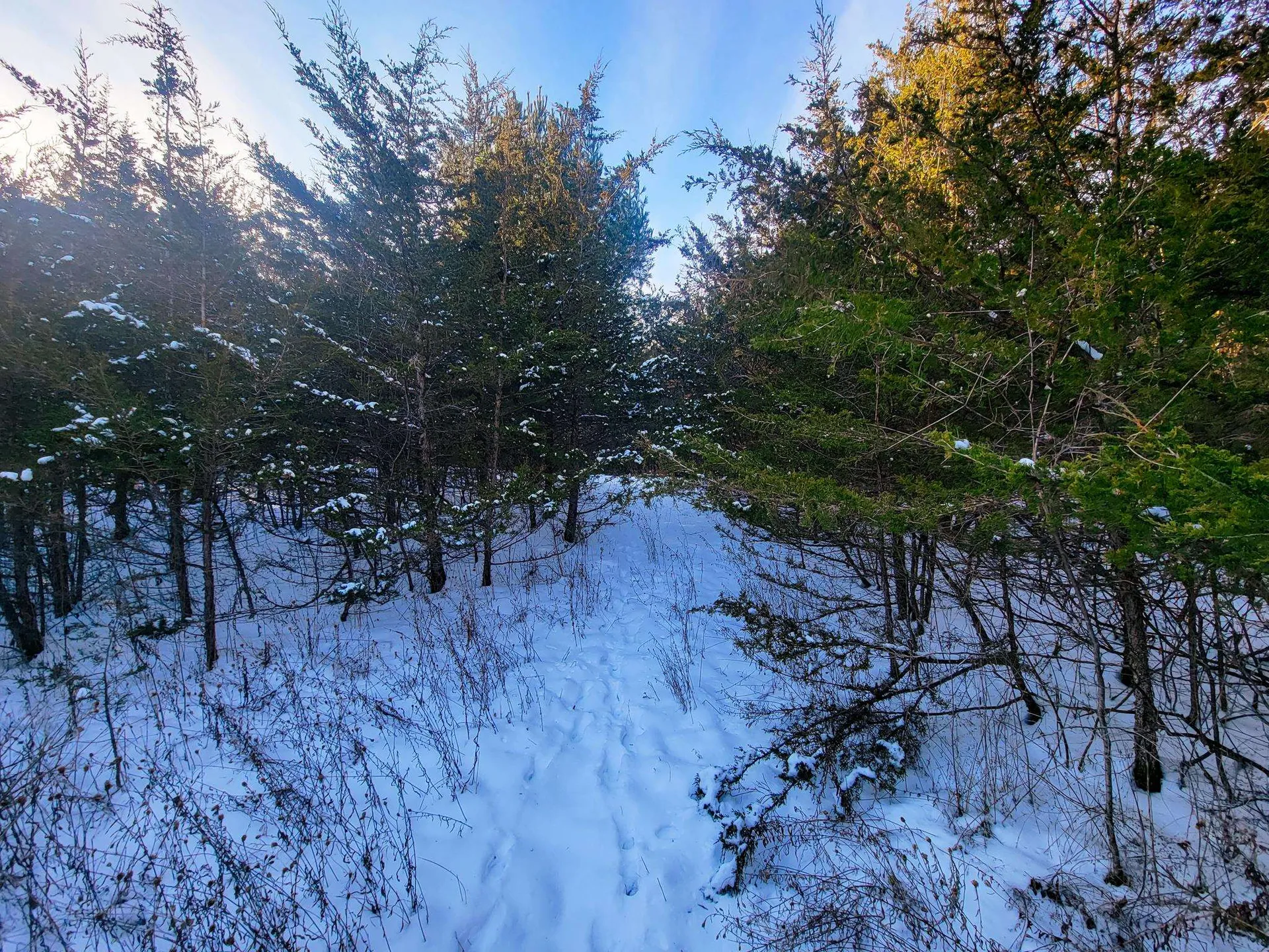 19 Star Road Grand Isle VT 05458