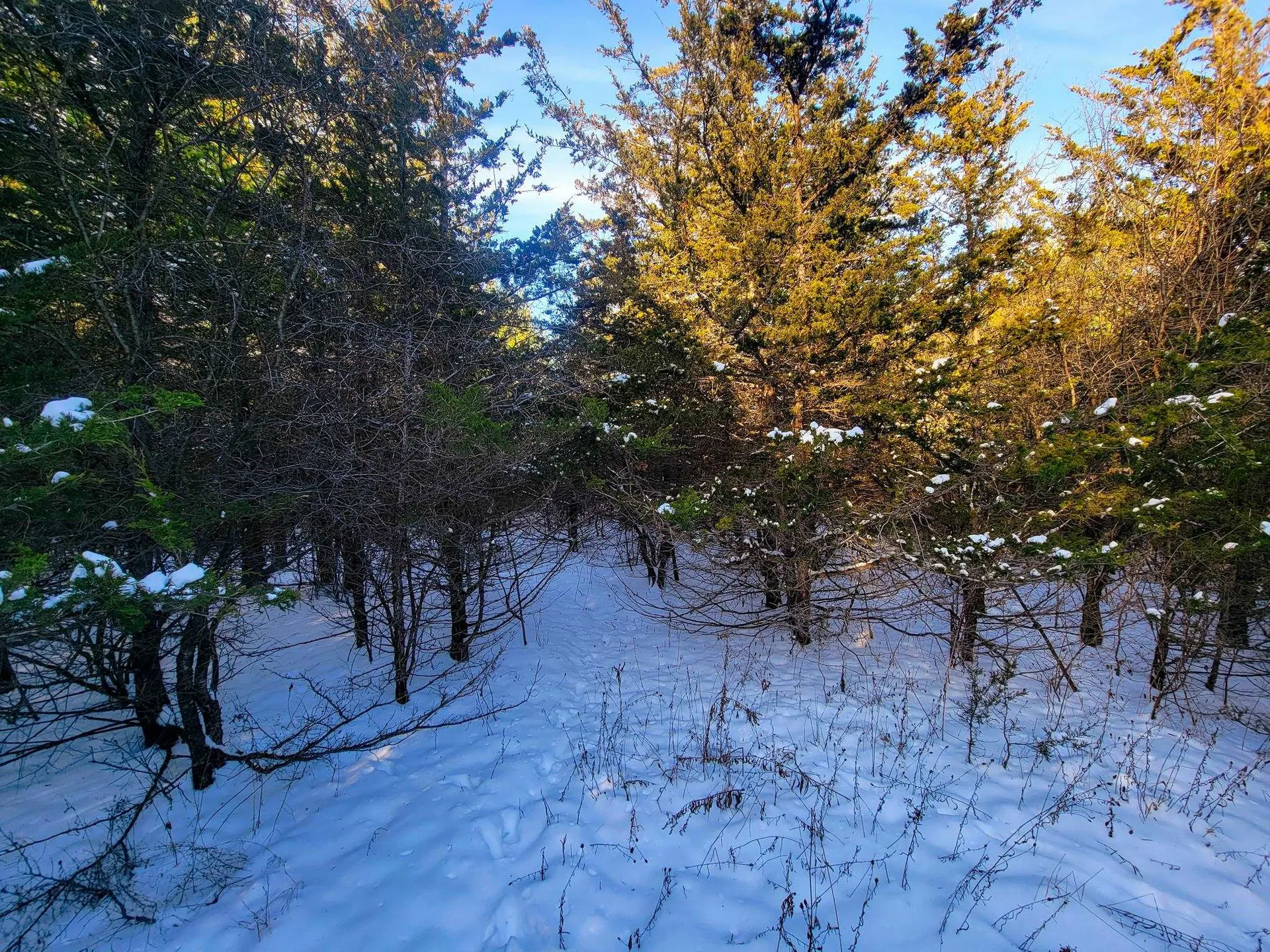 19 Star Road Grand Isle VT 05458
