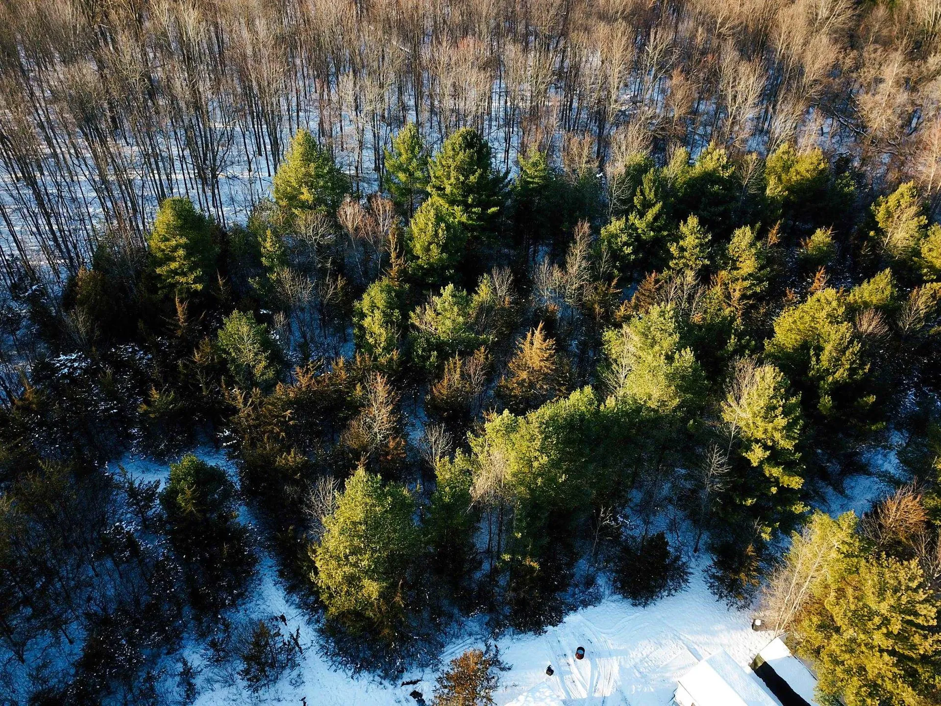 19 Star Road Grand Isle VT 05458