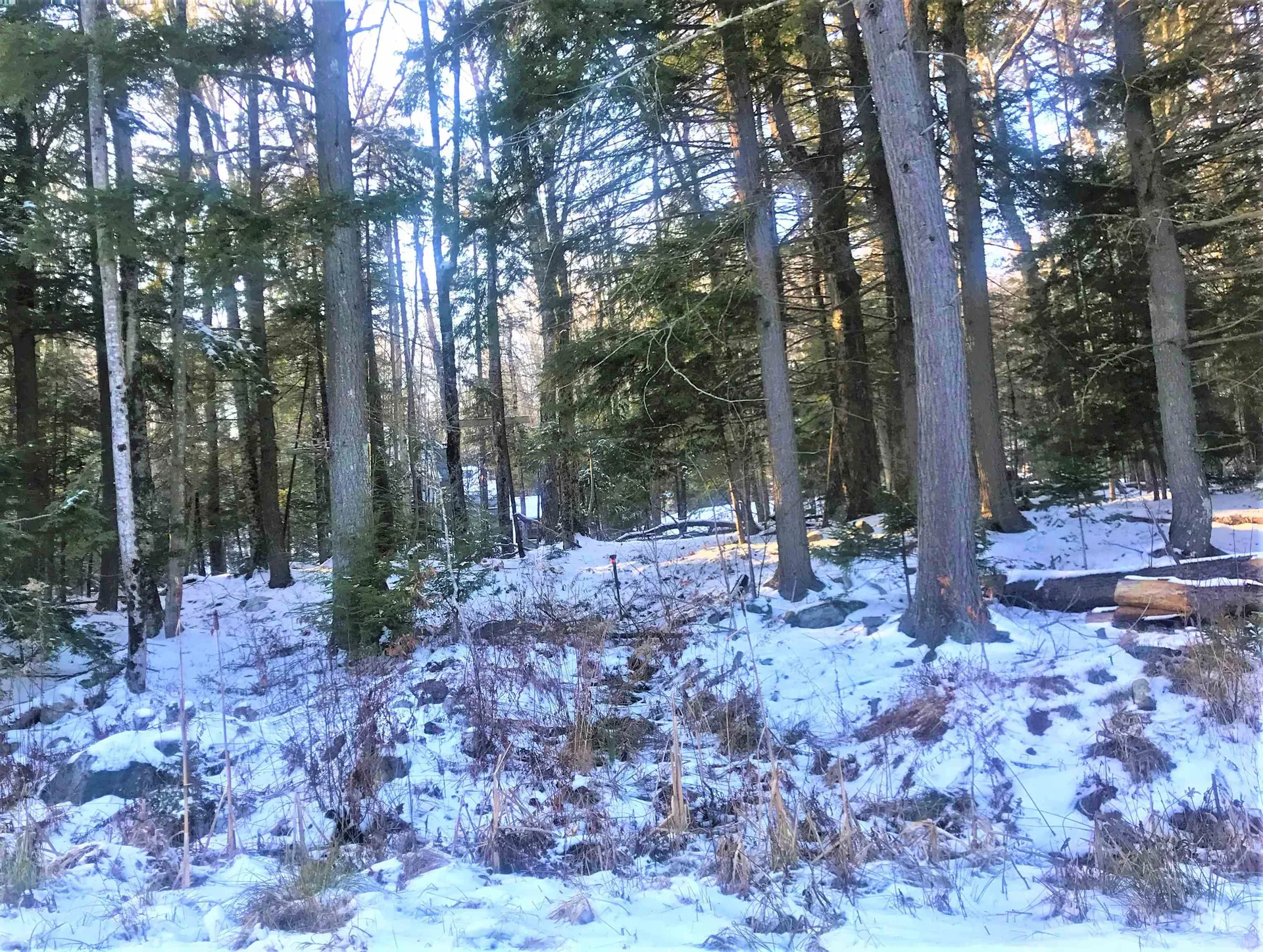 929 Porcupine Lane Wilmington VT 05363
