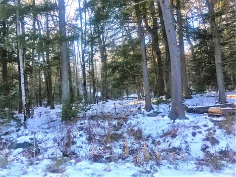 929 Porcupine Lane Wilmington VT 05363