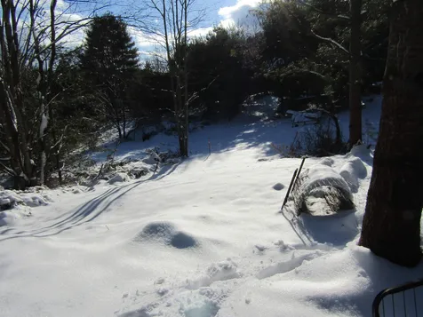 6 & 8 Barnett Road Calais VT 05648