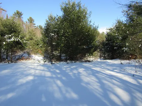 6 & 8 Barnett Road Calais VT 05648