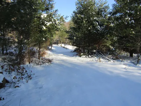 6 & 8 Barnett Road Calais VT 05648