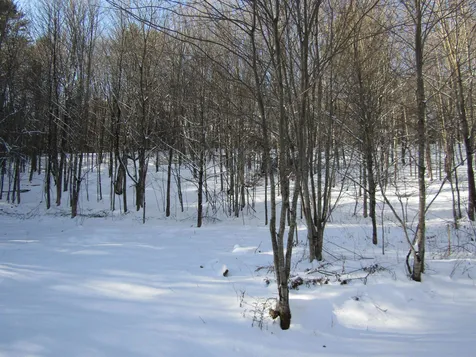 6 & 8 Barnett Road Calais VT 05648