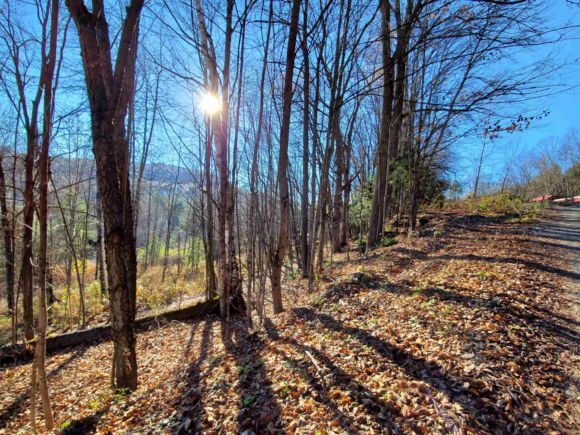 185 Mountain Avenue St. Johnsbury VT 05919