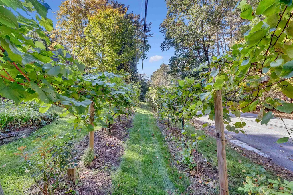 6 Old Gordon Road Brentwood NH 03833