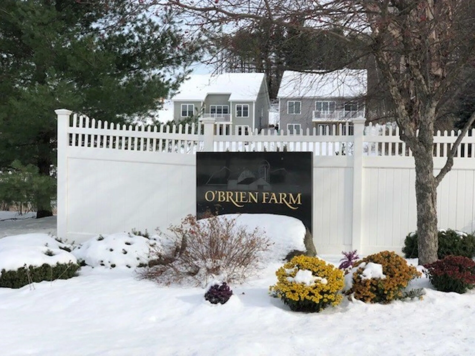 43 Split Rock Court South Burlington VT 05403