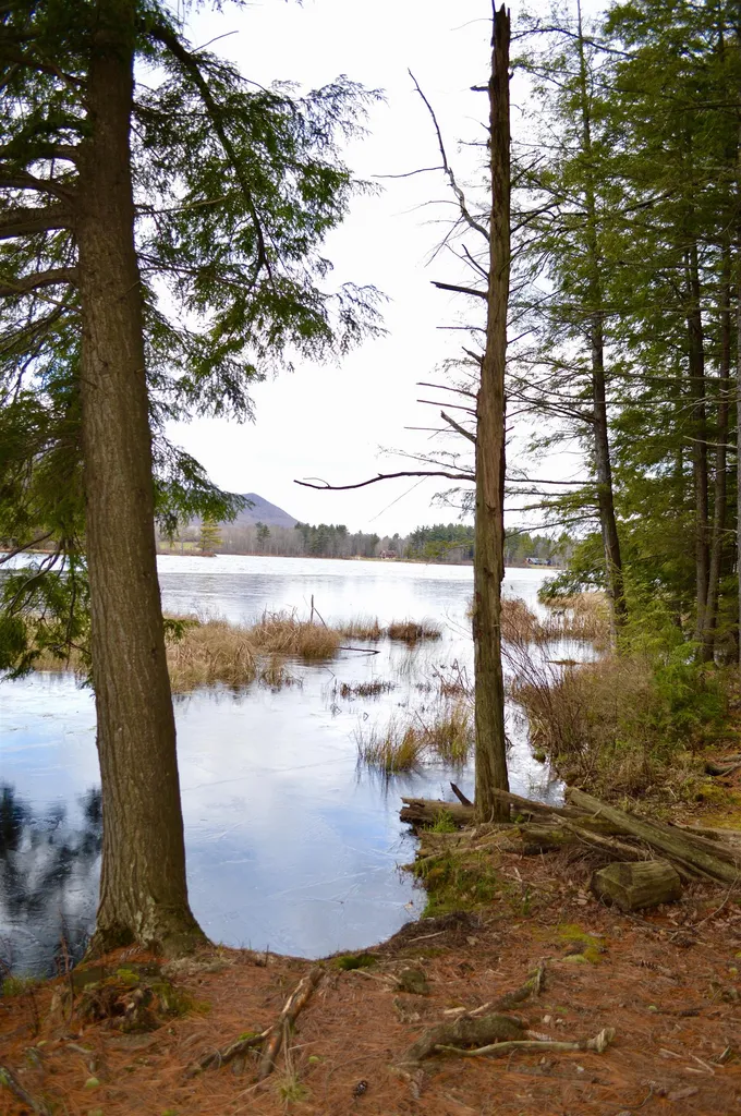 160 East Pond Road Danby VT 05739