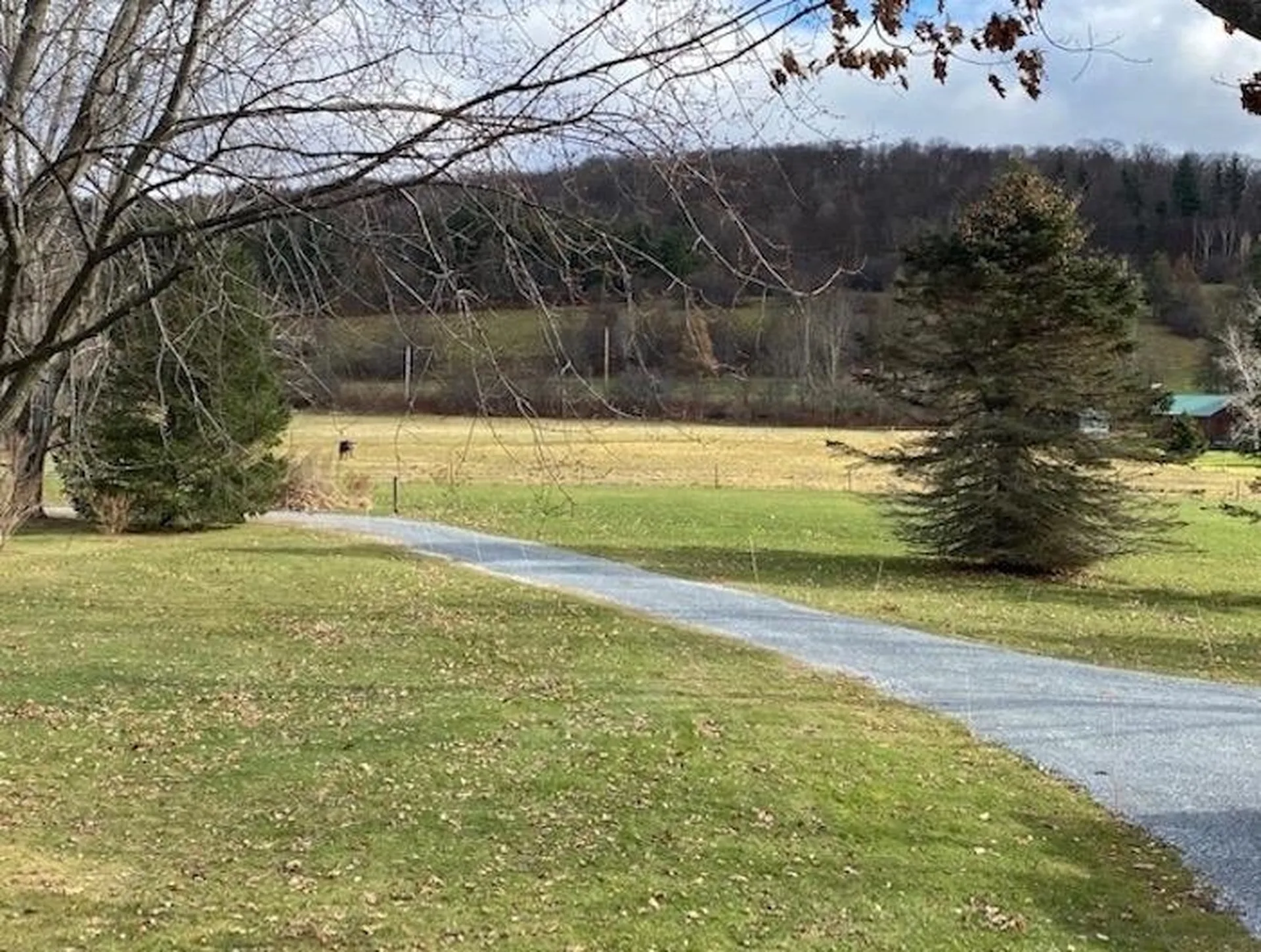 160 East Pond Road Danby VT 05739