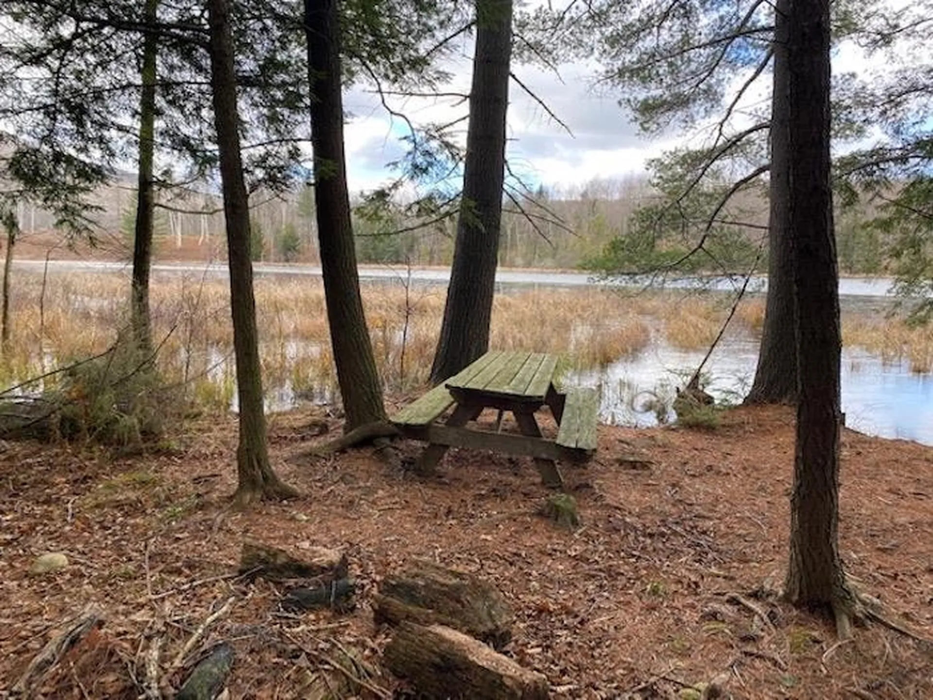 160 East Pond Road Danby VT 05739