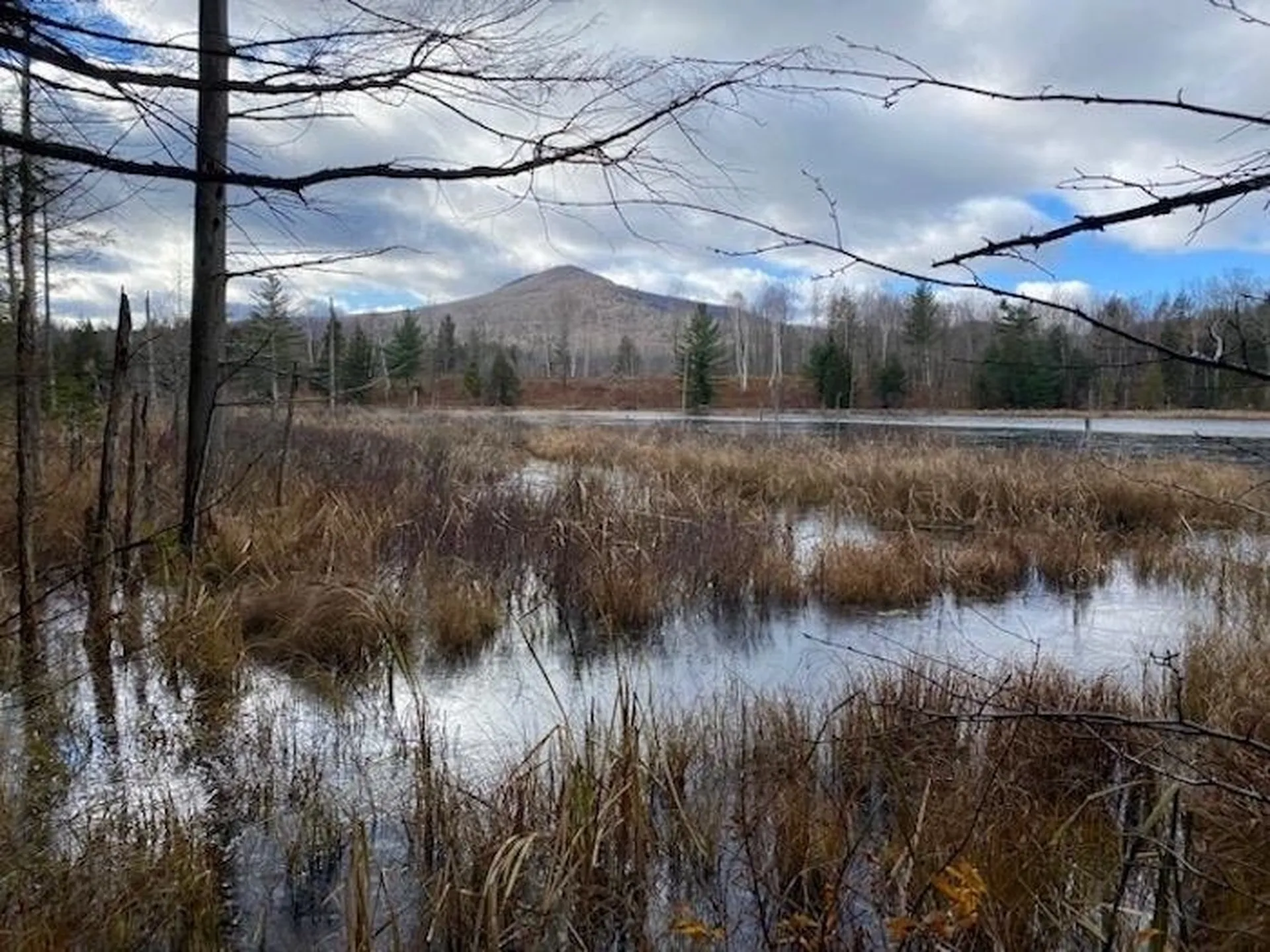 160 East Pond Road Danby VT 05739