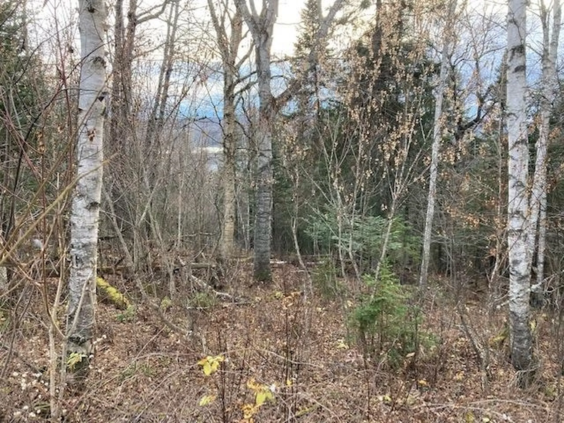 52 Burns Road Pittsburg NH 03592
