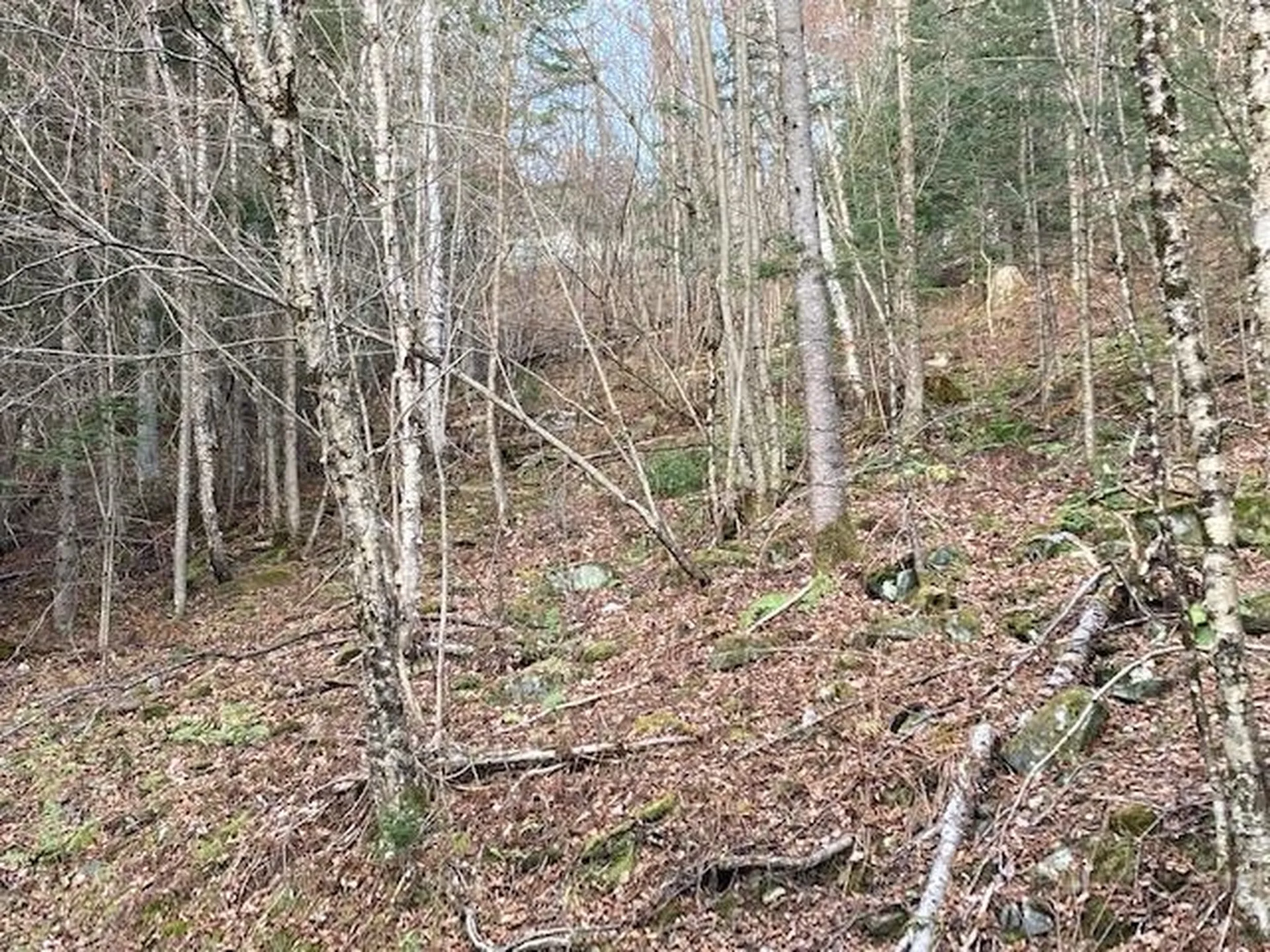 52 Burns Road Pittsburg NH 03592