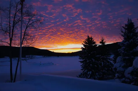 97 North Branch Road Winhall VT 05155