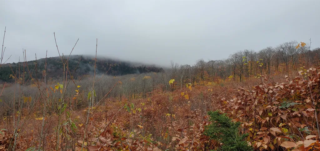 000 Piermont Heights Road Piermont NH 03779