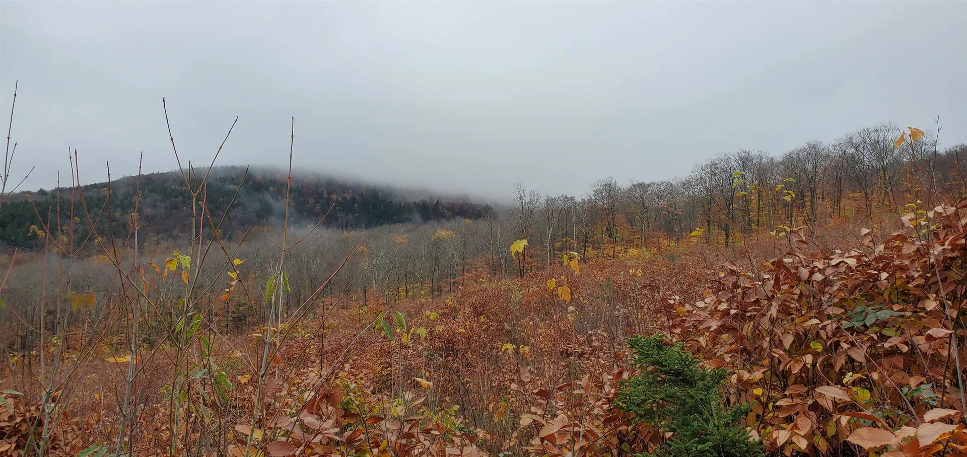 000 Piermont Heights Road Piermont NH 03779