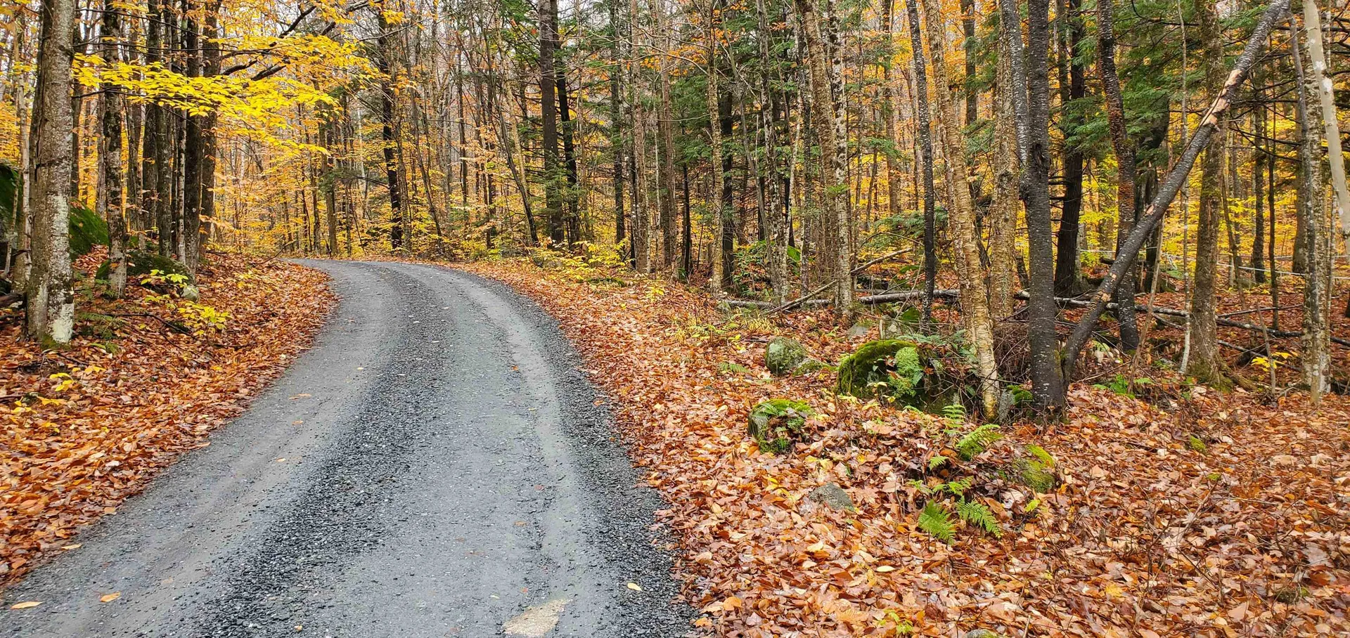 000 Piermont Heights Road Piermont NH 03779