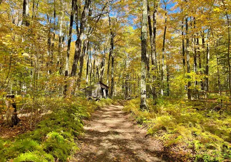 566 Stannard Mountain Road Danville VT 05828