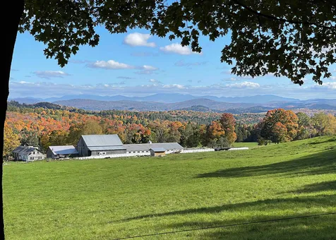 566 Stannard Mountain Road Danville VT 05828