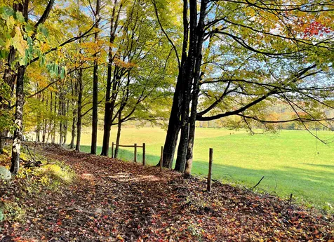566 Stannard Mountain Road Danville VT 05828