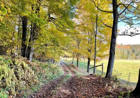 566 Stannard Mountain Road Danville VT 05828