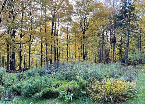 566 Stannard Mountain Road Danville VT 05828