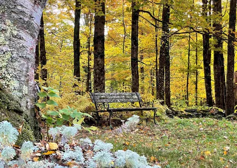 566 Stannard Mountain Road Danville VT 05828