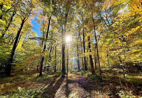 566 Stannard Mountain Road Danville VT 05828