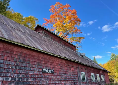 566 Stannard Mountain Road Danville VT 05828