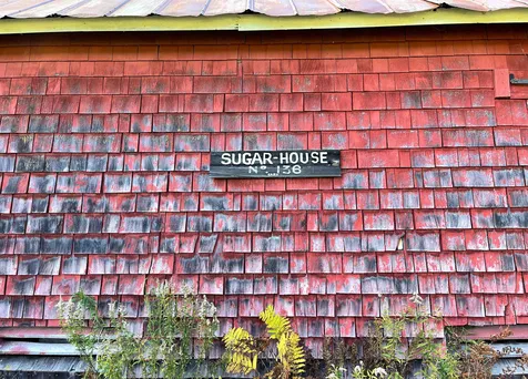 566 Stannard Mountain Road Danville VT 05828