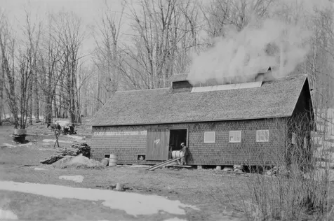 566 Stannard Mountain Road Danville VT 05828
