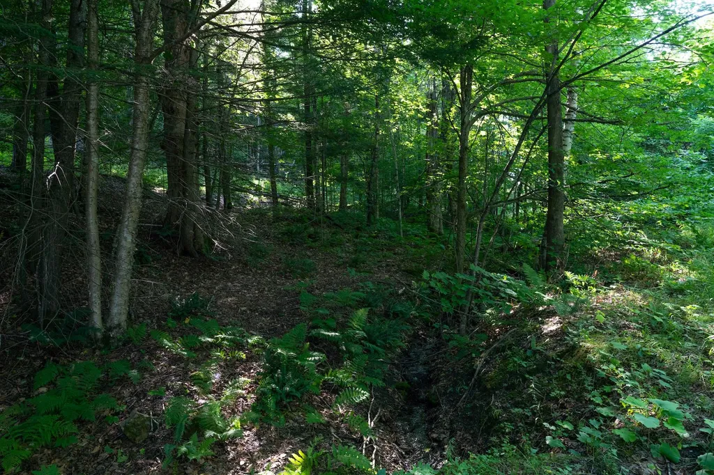 13 Best Road Hartland VT 05089