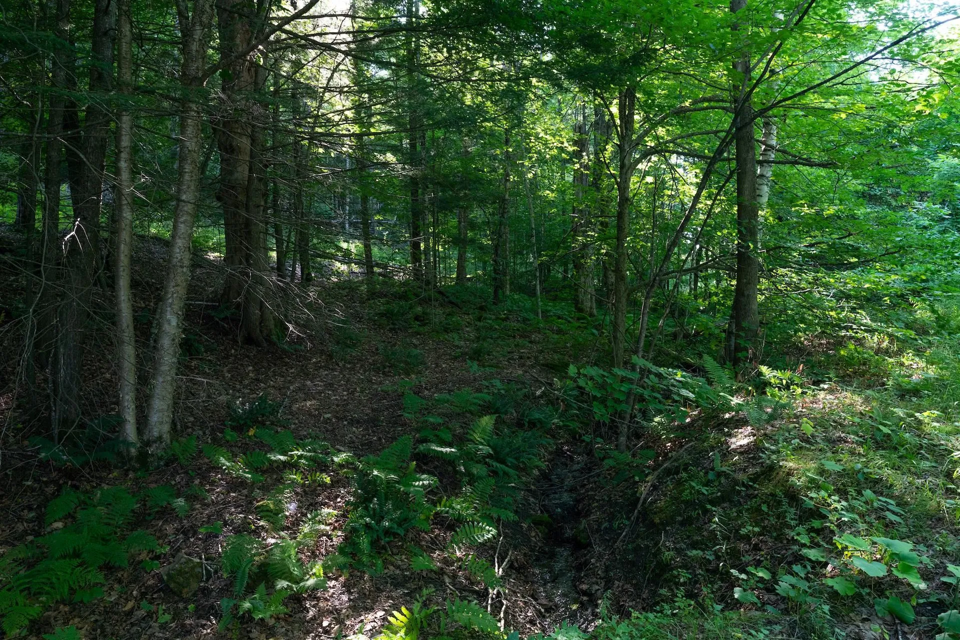 13 Best Road Hartland VT 05089